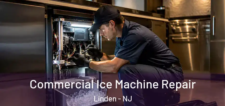  Commercial Ice Machine Repair Linden - NJ