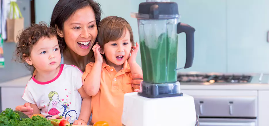 Juicer and Mixer Blender Repair in Linden 