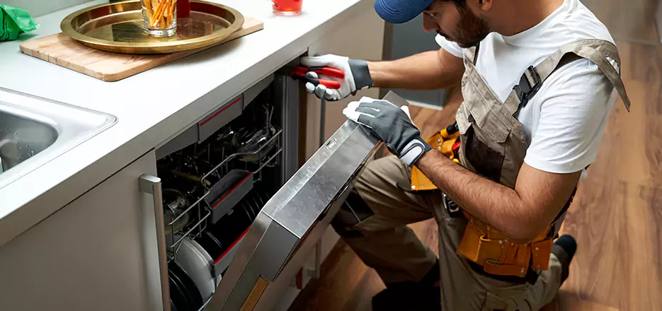 Same Day Dishwasher Not Draining Repair in Linden